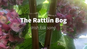 The Rattlin’ Bog, traditional Irish folk song.