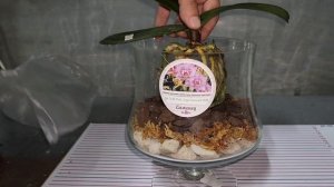 Закрытая система и розыгрыш.