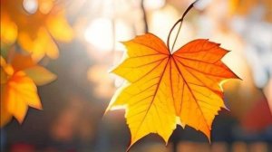 Доброе осеннее утро - Открытка с добром утром  #доброеутро #сдобромутра