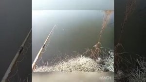 Рыбалка на паплавок