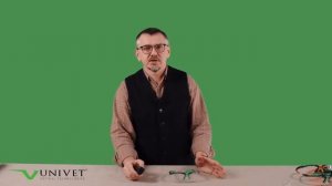 ОЧКИ ТРАНСФОРМЕР UNIVET 5X1 С ДИОПТРИЙНОЙ ВСТАВКОЙ