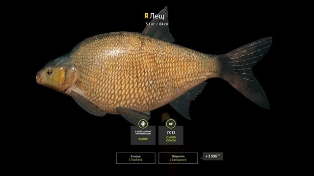 Троф лещ смотреть онлайн