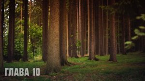 Аффирмация Клауса Джоула_Я везунчик__Выходные с пьяным лепреконом, или Как найти свою радость_Клаус