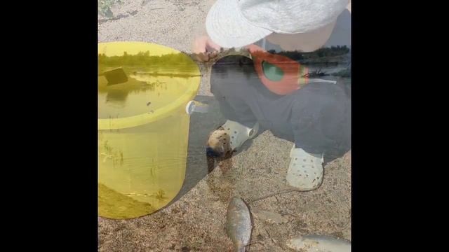 Роман и компания у Ивана(Или июнь 2016) смотреть онлайн