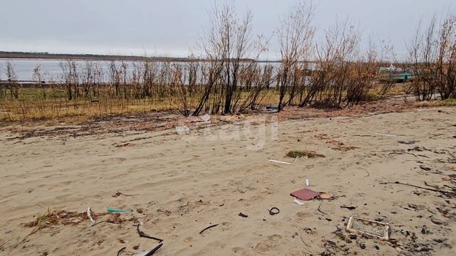 2056205 Речная улица смотреть онлайн