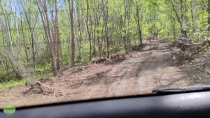 Летний отдых на базе отдыха Хребет "Вандана"!