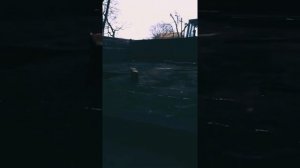 Одноосний прицеп на базі ПСЕ 12,5 #12. Борти.