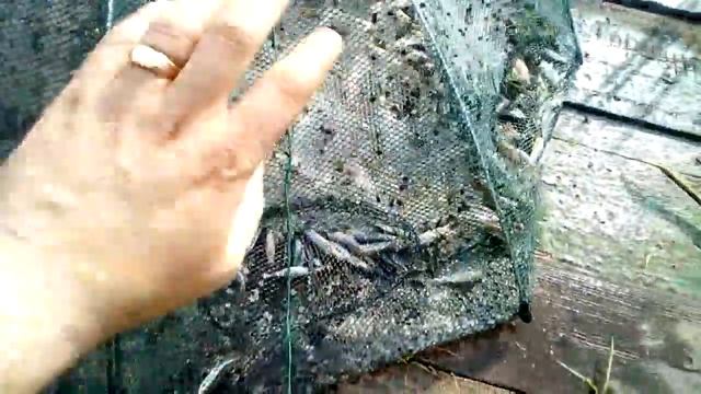 Очень много малька смотреть онлайн