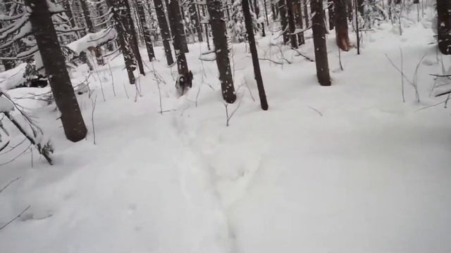 2020.12.25. Крючково, снег 65 см. смотреть онлайн