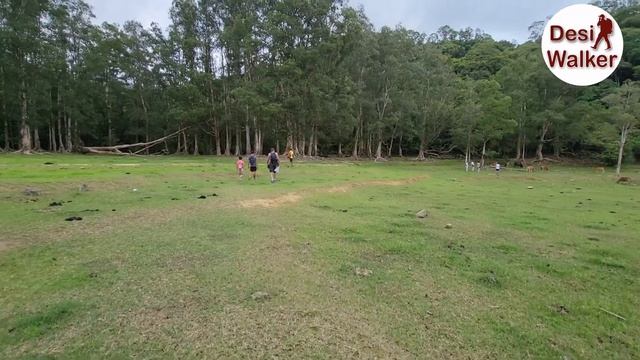 Shing Mun Reservoir Country Park | Hiking in Hong Kong | Desi Walker смотреть онлайн