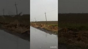 Легальный бизнес, Пачка сигарет, минус.