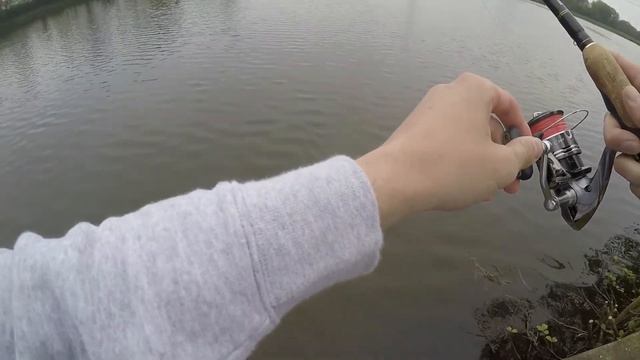 форель, сход щуки смотреть онлайн