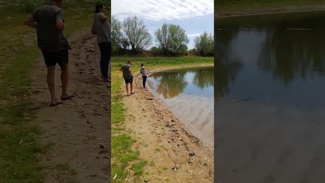 У жён клюет а у нас нет. смотреть онлайн