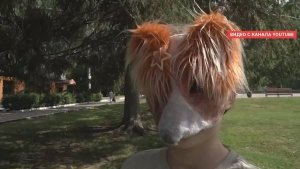 Специальный репортаж: квадроберы – безобидно или опасно это увлечение?