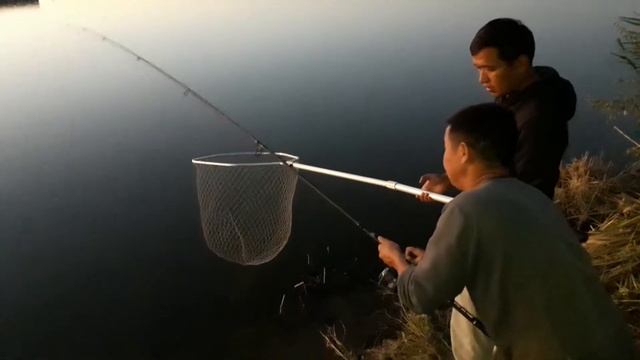 Первый мой толстолоб смотреть онлайн