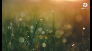 Клип Ярко жёлтые очки