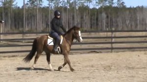 Rondo flatwork - Jan 10, 2015