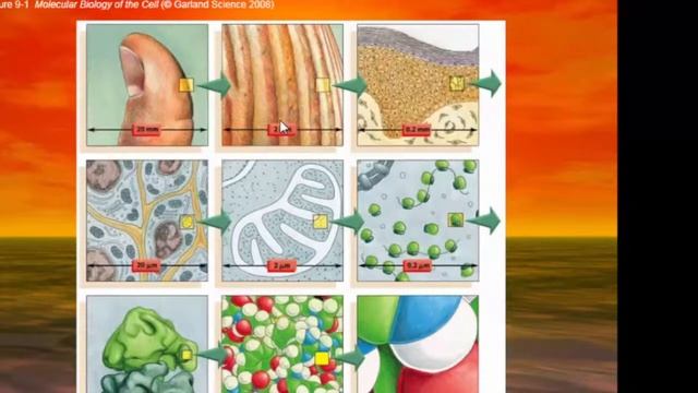 KIMIA ANALITIK SELASA 14 SEPT