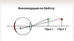 Возможно ли восстановить зрение с помощью упражнений при дальнозоркости