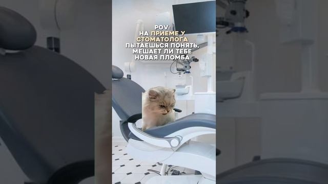 Каждый попадал в такую ситуацию у стоматолога  #пломба #кариес