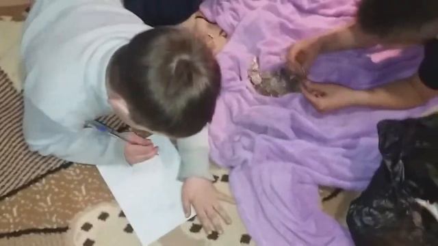 Разбили копилку. Сынок копил на микроскоп. Маленький бухгалтер считает свои накопления.
