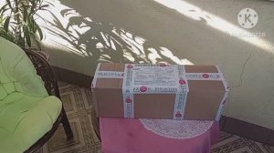 Розы от Полины Козловой. Питомник Розариум.биз.