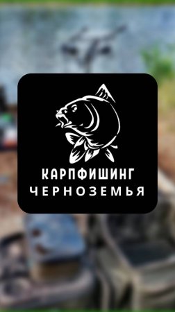 1й сектор Команда "Golden Fish