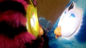 Как общаются Фёрби