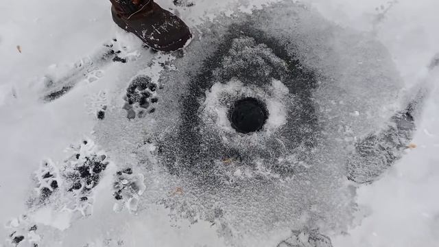 Рыбалка на балансир на первом льду. Ловля хищной рыбы зимой