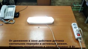 Светильник светодиодный Черепаха LED 01-ДД