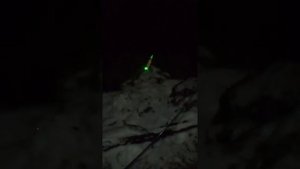 Поклёвка налима