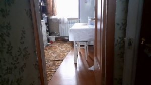 любопытство кота сгубило.../кот пришел к собаке..