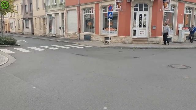 Кот хотел поймать крысу, но что то пошло не так смотреть онлайн