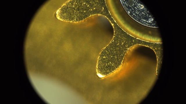 Часы под Стереомикроскопом Nikon SMZ25 - от 6.3х до 157.5х смотреть онлайн