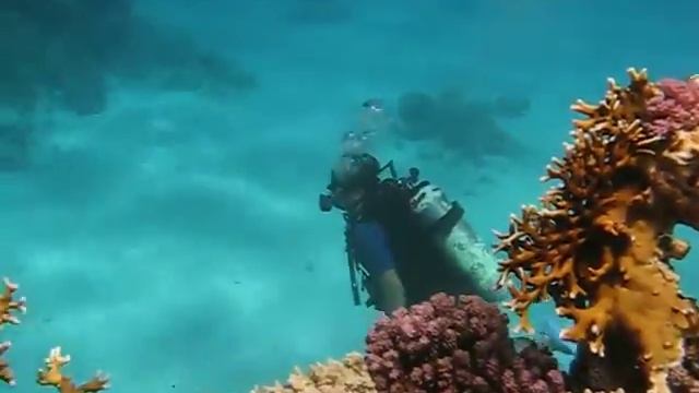 Дайвинг! Первый раз и на 10м в глубину смотреть онлайн