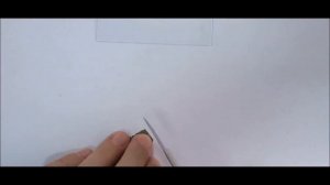 Микроскопическое строение хвои и листа