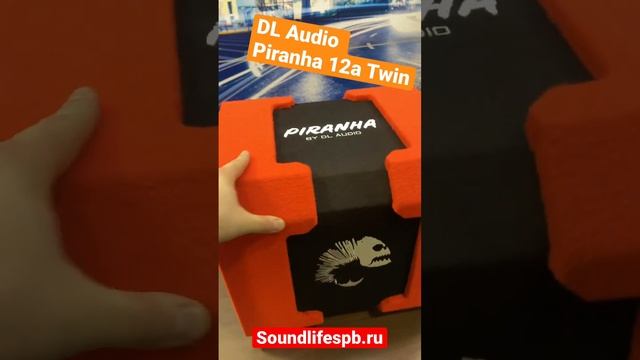 DL Audio  Piranha 12A Twin