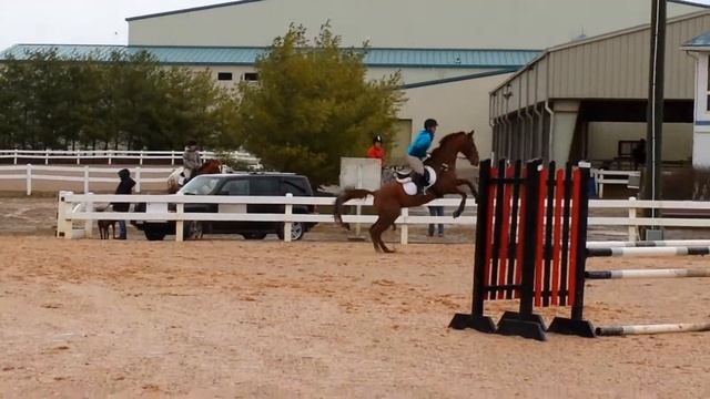 Vesuvian - Show Jumping - VHT Starter - March 2014 смотреть онлайн