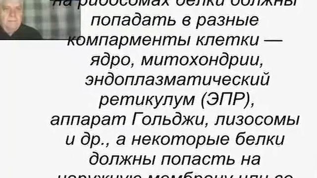 Квантовая биология. Трансляция. смотреть онлайн