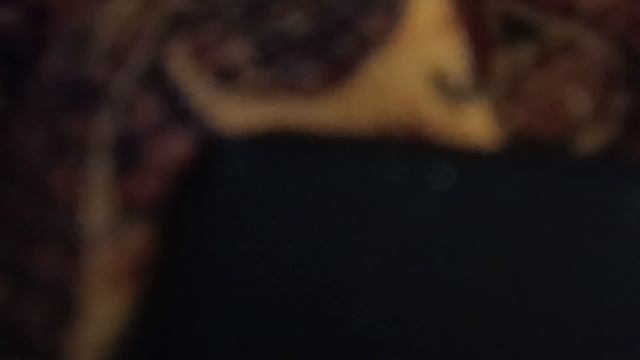 24.10.2024г 4-я проверка моего домовладения решается вопрос ремонт или снос жилья...