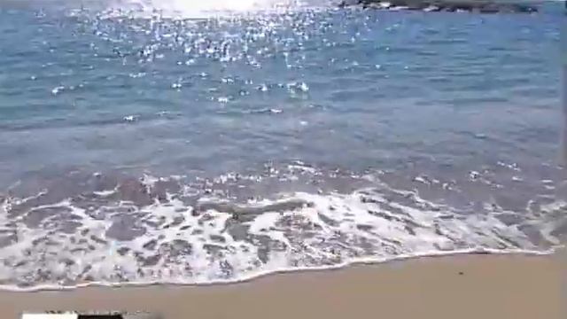 Клиенты обанкротившейся турфирмы "Нева" отдыхают в Сочи смотреть онлайн