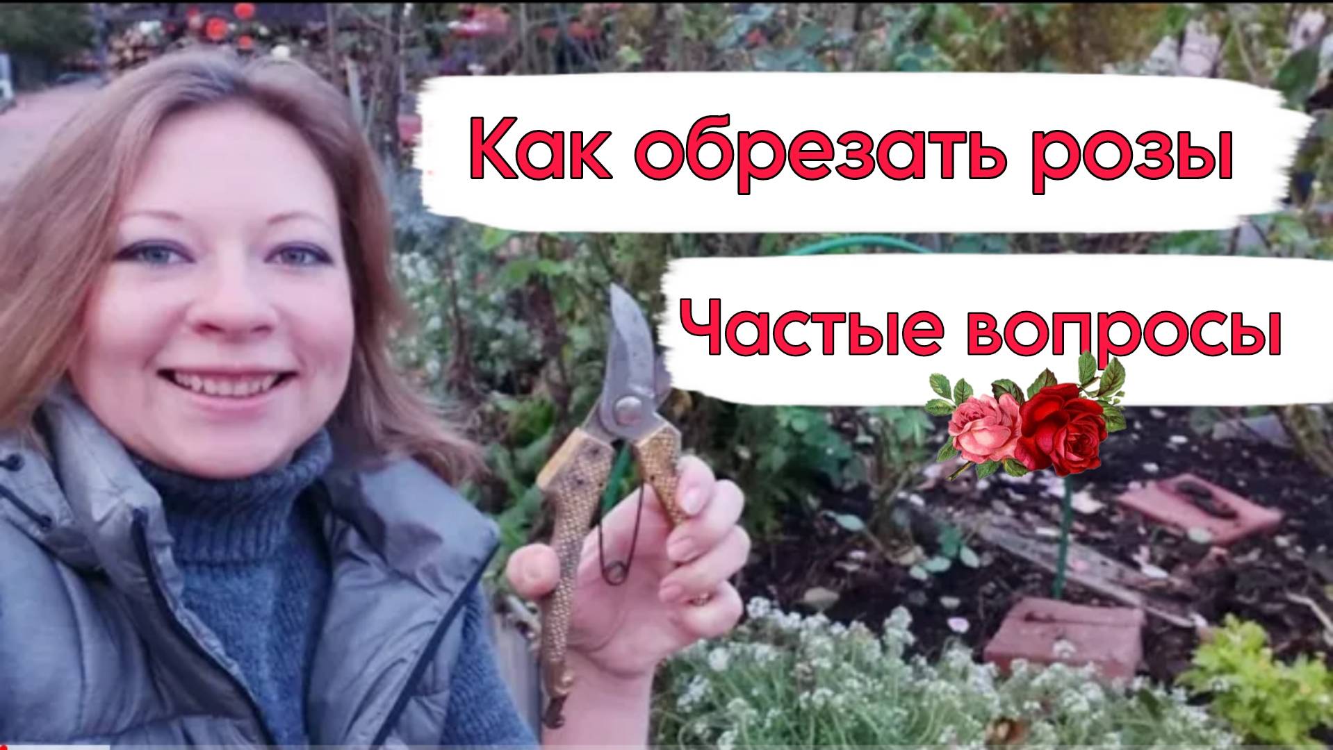 Как правильно ухаживать за срезанными розами