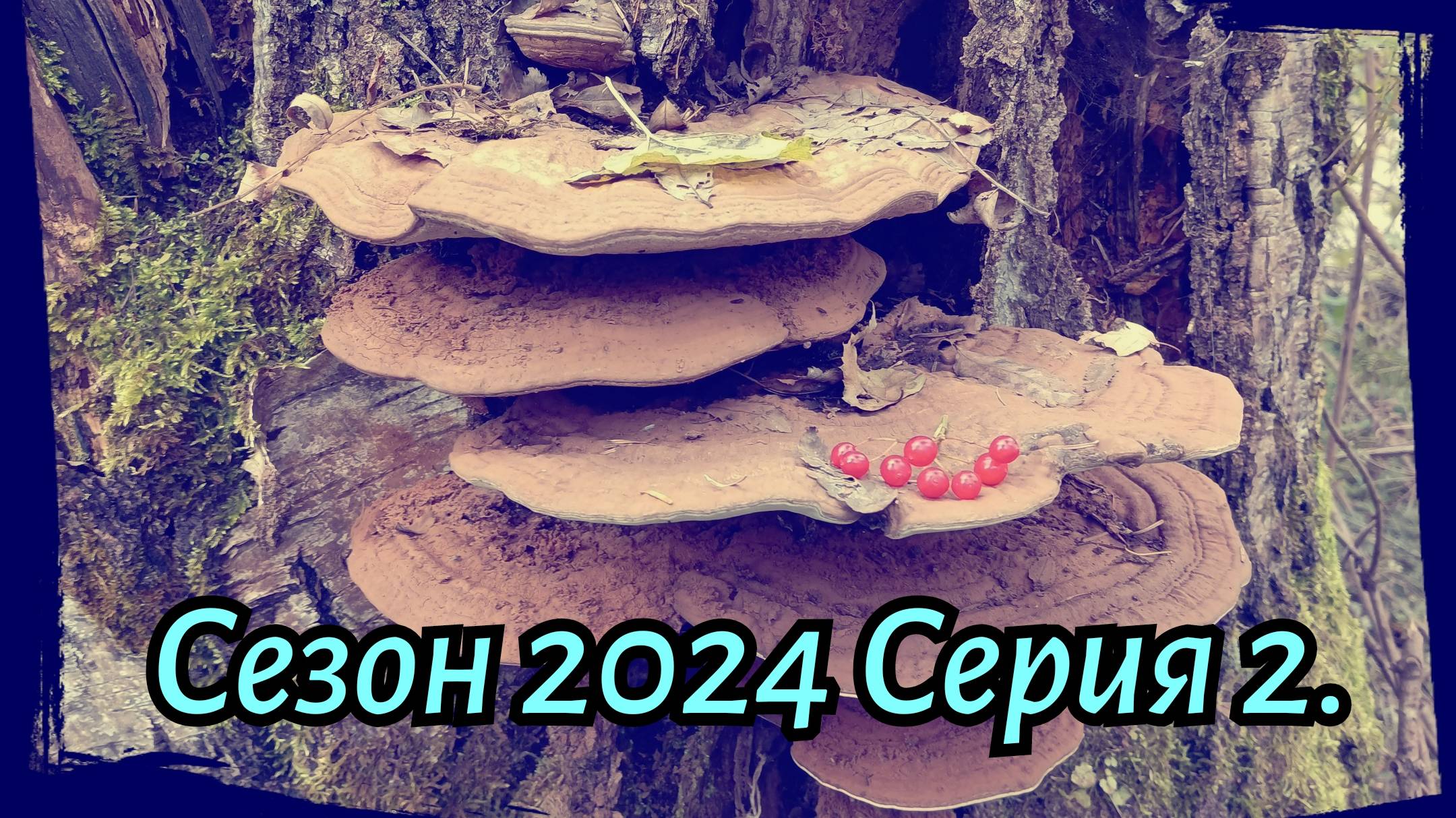 4 Месяца в Тайге р. Чиксу. Сезон 2024 Серия 2.