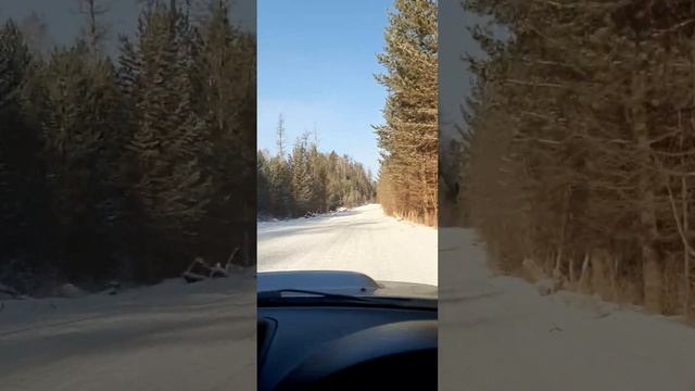 Поездка в тайгу на рыбалку на Forester SG5 XT смотреть онлайн