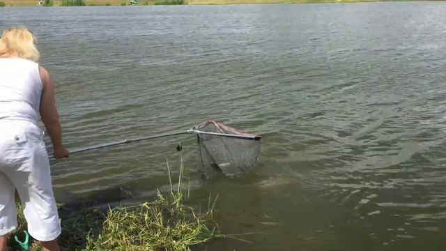 Полуденный клёв карпа , онлайн включение с водоёма !!! смотреть онлайн