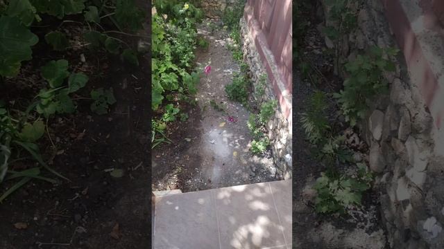 Дверь в аптеке До и После