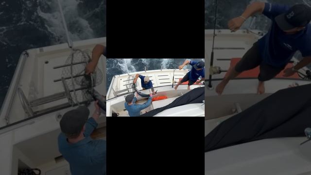 Private Yacht Charter (Program Fishing) By iTravel Phuket смотреть онлайн