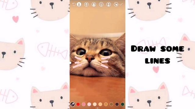 INSTAGRAM STORY IDEAS FOR PETS | IG APP ONLY | FOR ANDROID USERS