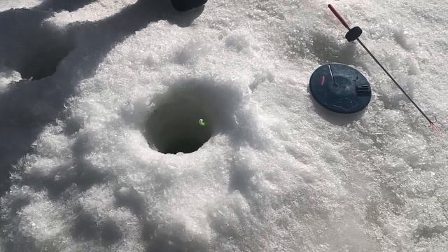 9 марта 2024 г. смотреть онлайн