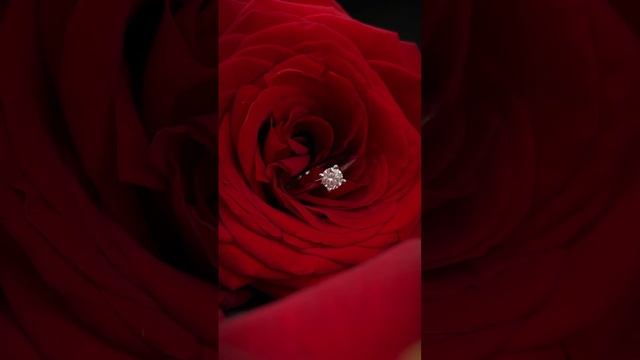 Традиционное помолвочное кольцо с круглым бриллиантом  #ring #wedding #обручальныекольца #помолвка